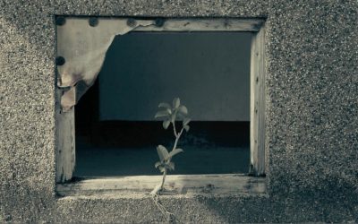 INCUNA Int Film Fest recibe más de 80 películas de una veintena de países
