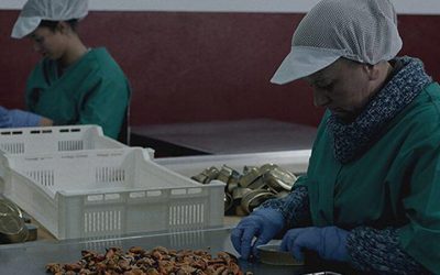 Matria, ganadora del Premio al Mejor Cortojometraje en la I Edición del INCUNA INTERNATIONAL FILM FESTIVAL, ha sido preseleccionada para la 33 Edición de los Premios Goya en la categoría de Cortometraje de Ficción.