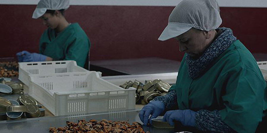 Matria, ganadora del Premio al Mejor Cortojometraje en la I Edición del INCUNA INTERNATIONAL FILM FESTIVAL, ha sido preseleccionada para la 33 Edición de los Premios Goya en la categoría de Cortometraje de Ficción.